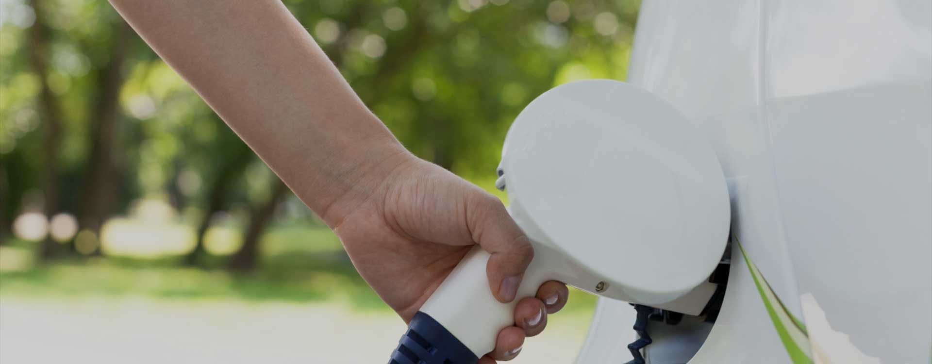 Quali sono le differenze tra la batteria al litio all'ingrosso e la batteria normale?