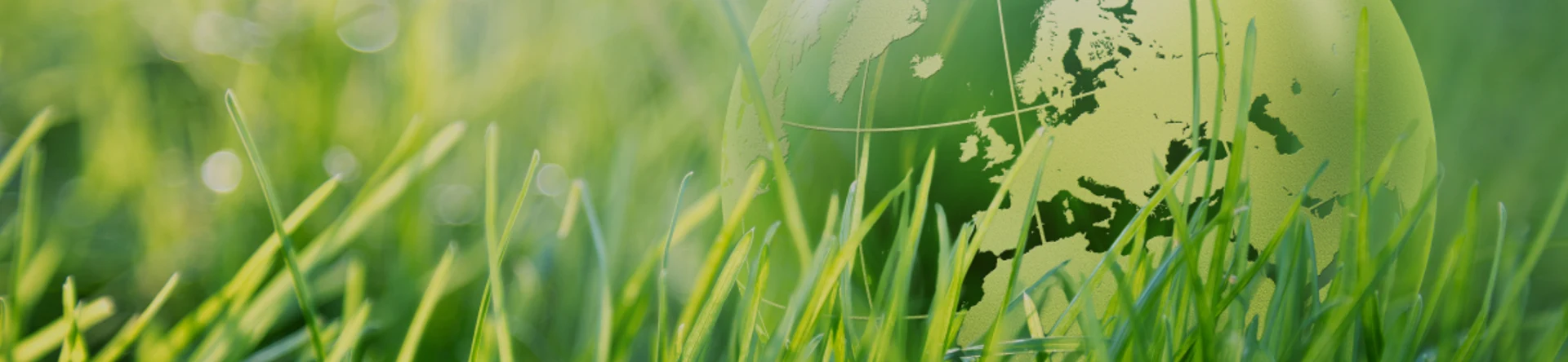 Accumulo di litio transizione la tua energia alle batterie agli ioni di litio sostenibili