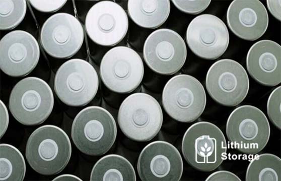 Litio ferro fosfato Vs ioni di litio: un confronto di profondità